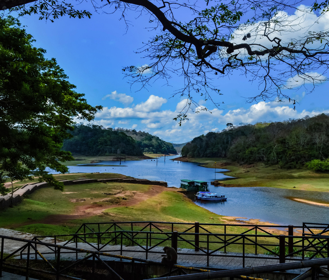 Periyar National Park