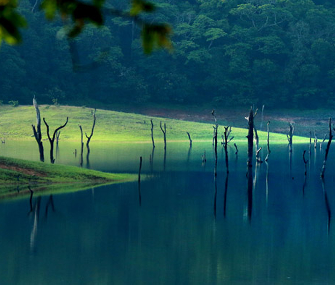 Thekkady